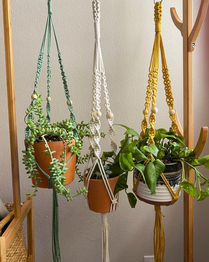 beginner macrame: plant hangers